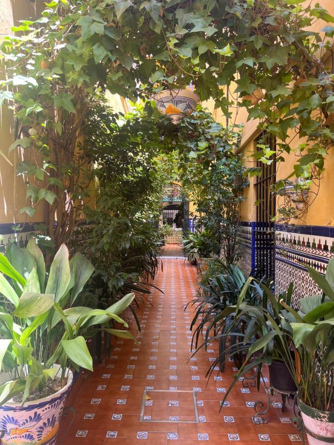 Hostal Atenas Севилья Экстерьер фото